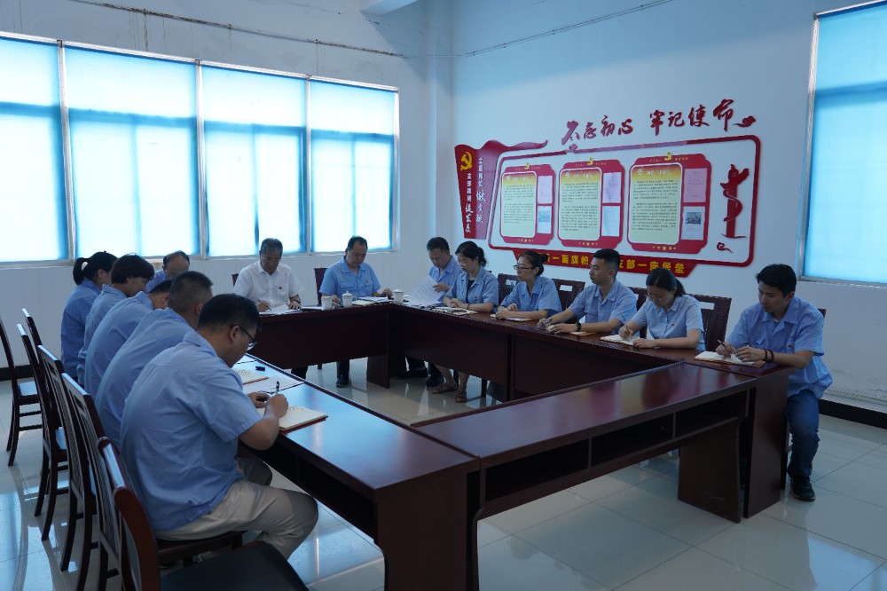 专题组织生活会1.JPG
